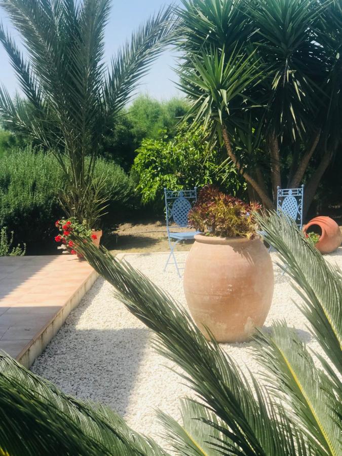 Kiti Villa Elia Bed And Breakfast מראה חיצוני תמונה