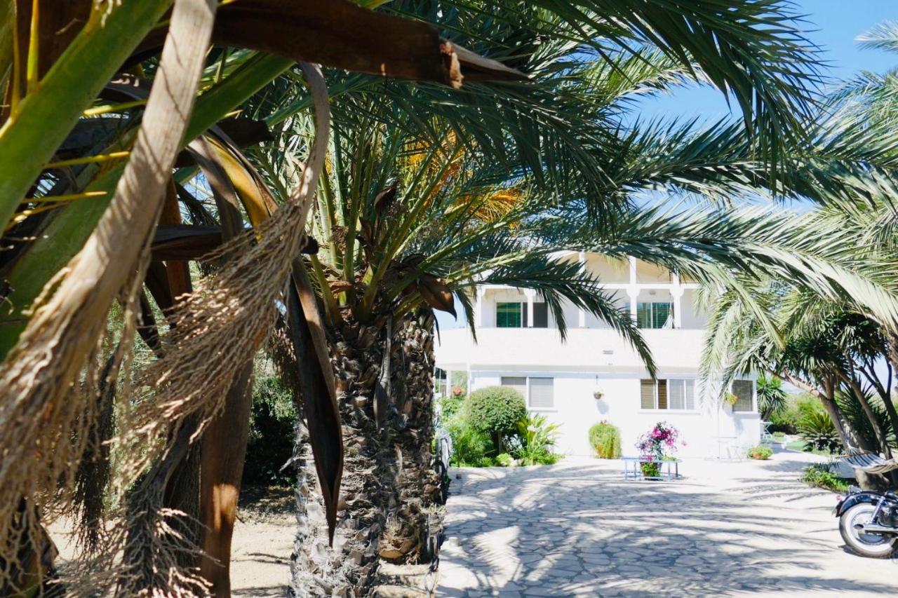 Kiti Villa Elia Bed And Breakfast מראה חיצוני תמונה